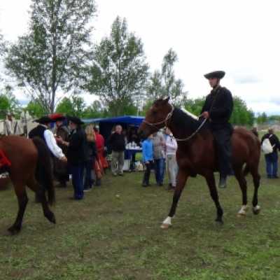 Részt vettünk a Nyeregszemlén - adó, 1%, alapítvány, támogatás