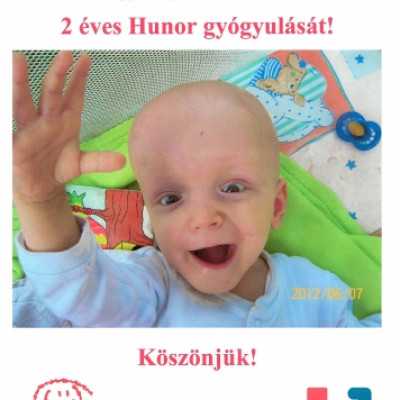 Sikeresen zárult a gyűjtés Hunornak - adó, 1%, alapítvány, támogatás