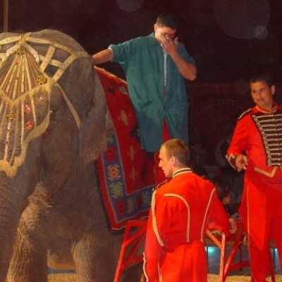 Szabadidõs programok - adó, 1%, alapítvány, támogatás