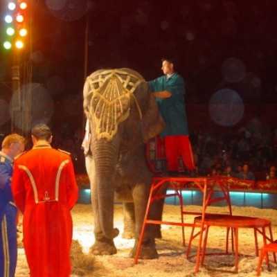 Szabadidõs programok - adó, 1%, alapítvány, támogatás