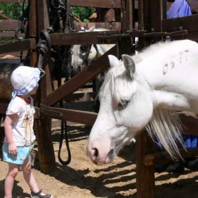 Szabadidõs programok - adó, 1%, alapítvány, támogatás