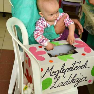 Szebbnél-szebb pillangók - alapítvány, adó 1%, támogatás