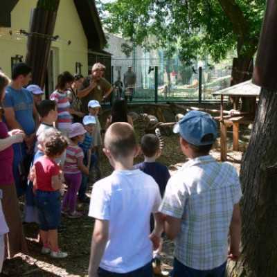 Szurikáta családot fogadtunk örökbe a debreceni állatkertben! - adó, 1%, alapítvány, támogatás