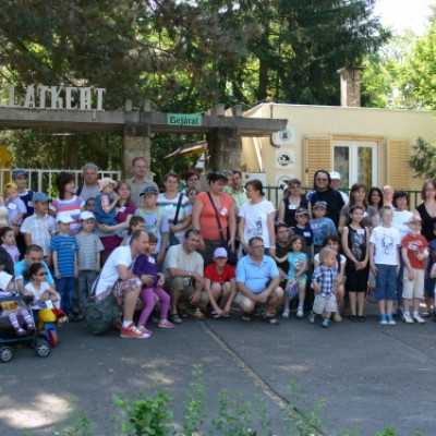 Szurikáta családot fogadtunk örökbe a debreceni állatkertben! - adó, 1%, alapítvány, támogatás