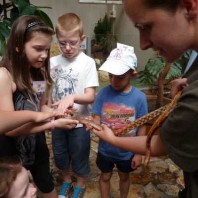 Szurikáta családot fogadtunk örökbe a debreceni állatkertben! - adó, 1%, alapítvány, támogatás