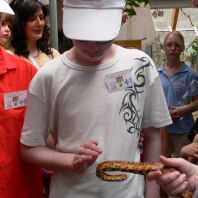 Szurikáta családot fogadtunk örökbe a debreceni állatkertben! - adó, 1%, alapítvány, támogatás