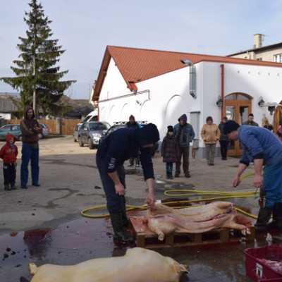 Télbúcsúztató  - adó, 1%, alapítvány, támogatás
