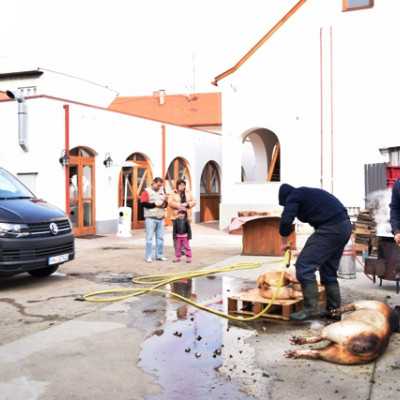 Télbúcsúztató  - adó, 1%, alapítvány, támogatás