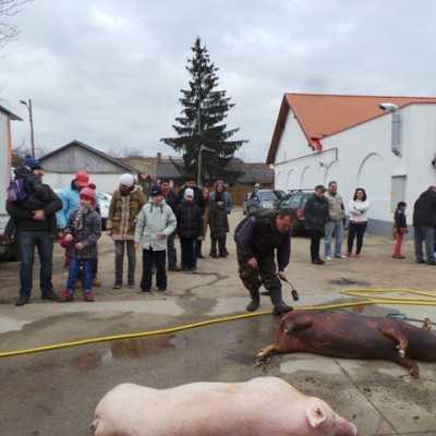 Télbúcsúztató  - adó, 1%, alapítvány, támogatás