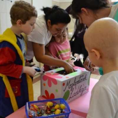 Tolldíszes csipesz madarak - alapítvány, adó 1%, támogatás