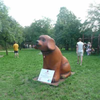 Vodri Bakonyszücsön - adó, 1%, alapítvány, támogatás