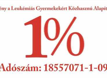 Adóbevallás ellenőrzése és a segítő adó 1%