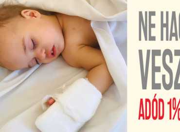 Adóbevallás ellenőrzése és a segítő adó 1%