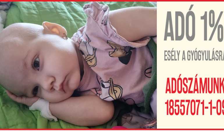 Tudtad, adóbevallásodról, annak 1+1%-áról te döntesz!