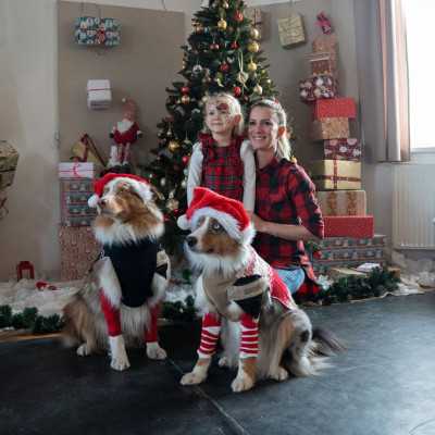 2025. December 6 - Mikulás ünnepség - adó, 1%, alapítvány, támogatás