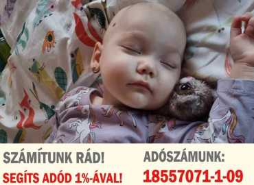 Adóbevallása az ügyfélkapun elérhető! Látta már?