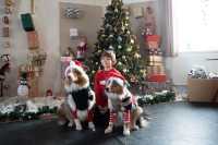 Örömet és szeretetet hozott a Mikulás a gyerekeknek!