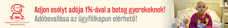 egyeni_vallalkozok_szja_bevallasa_2018_februar_26_1_42165.png